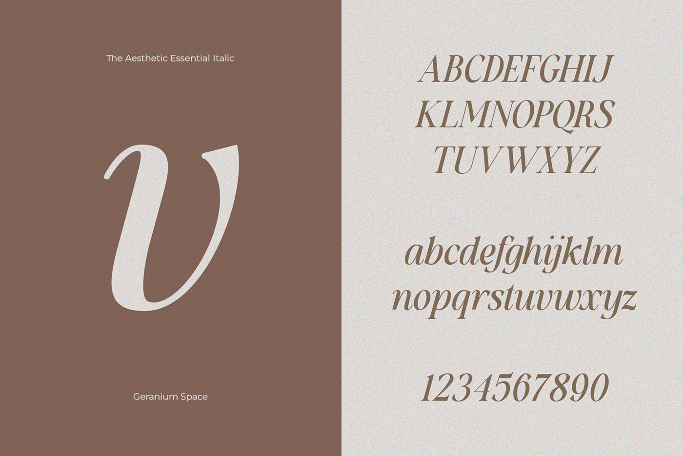aesthetic elegant font feminine font free Free font modern modern font serif Typeface typography  
