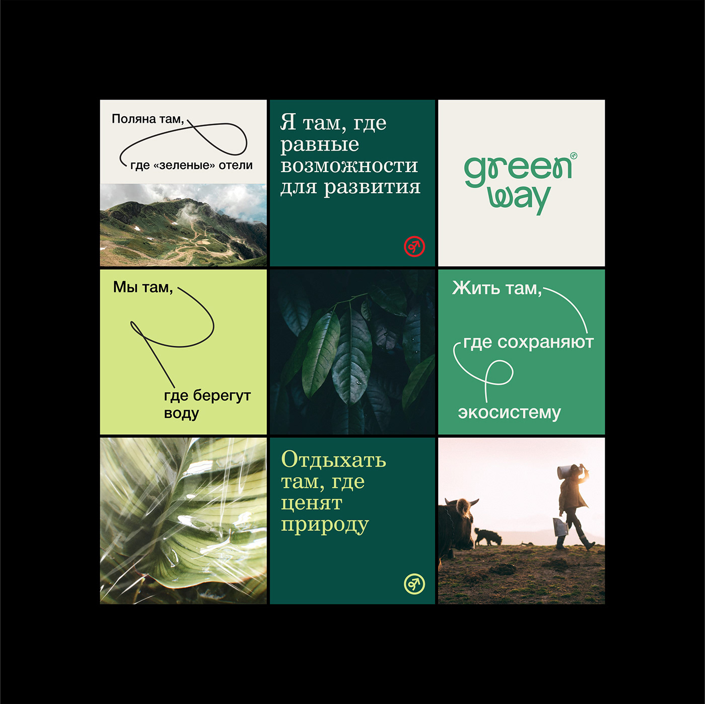 Ecology green Nature eco ecological program organic Sustainable Development brand identity
