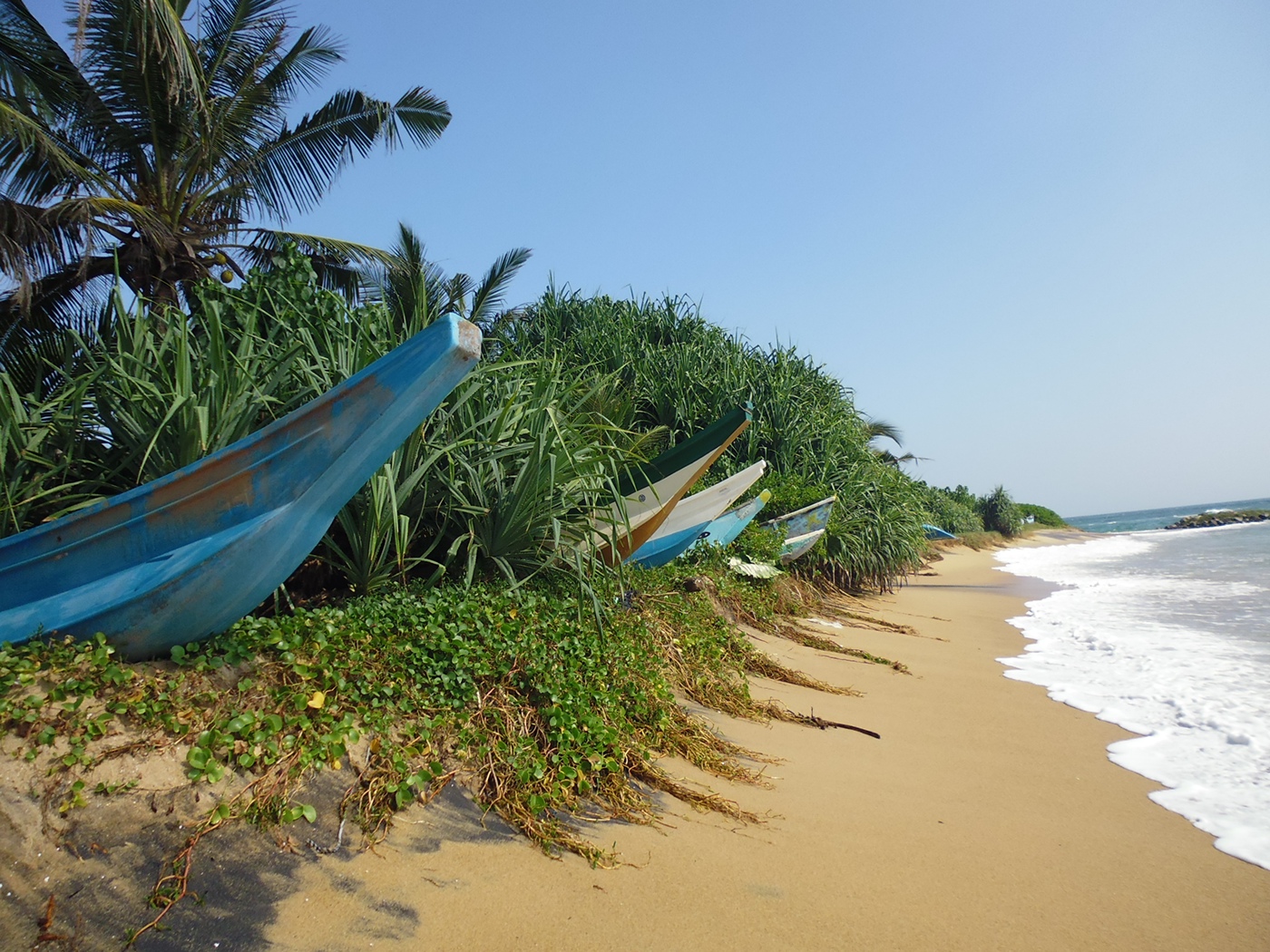 Sri lanka Travel Boats Ocean journey beach relax summer Nature tropics