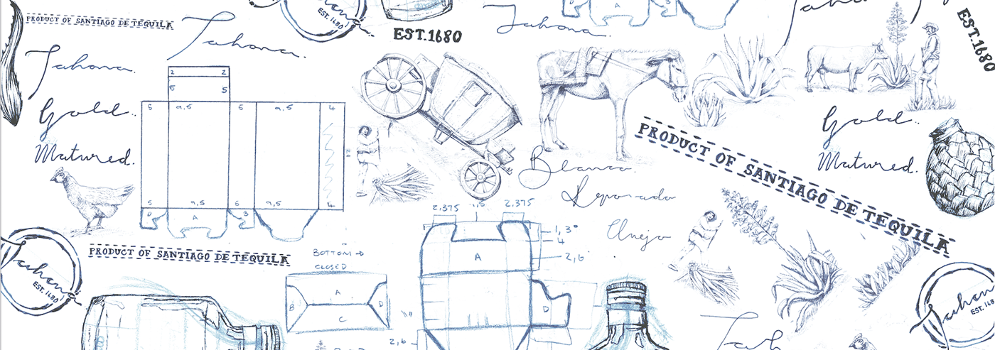 Packaging branding  Advertising  ILLUSTRATION  Tequila mexico Shelving Web Design  graphic design 