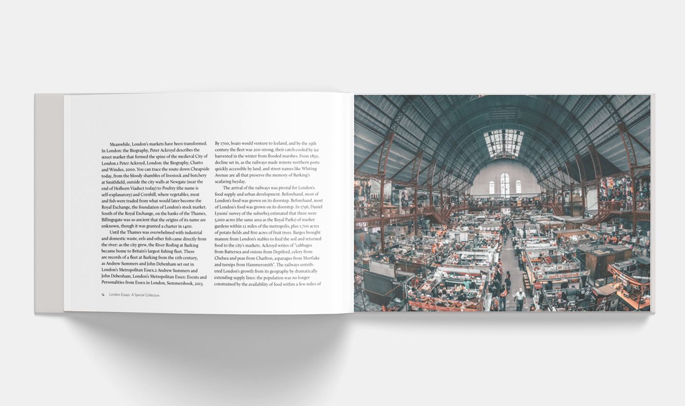 editorial graphic design  book magazine