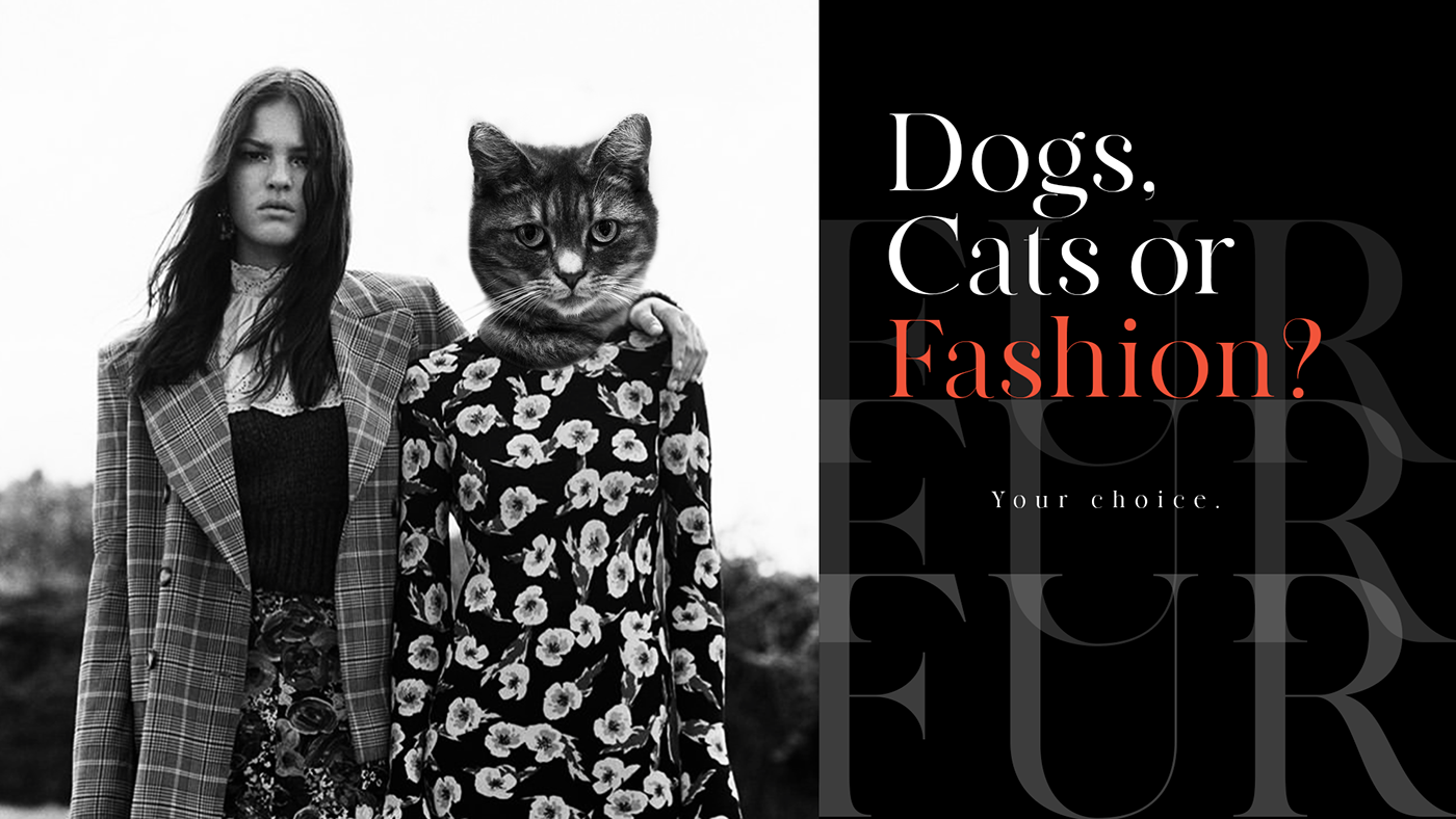art brand Cat design Digital Art  dog Fashion  photoshop Style