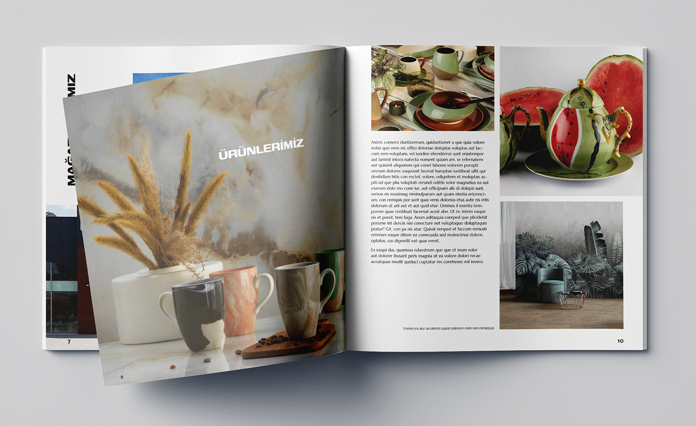 Magazine design InDesign catalog design editorial design  informative magazine magazin cover