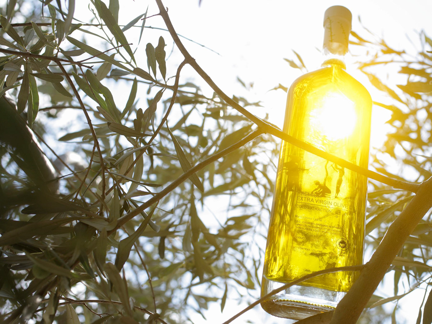 olive oil bottle glass design Label box wood clean green natural minimalistic greek water organic