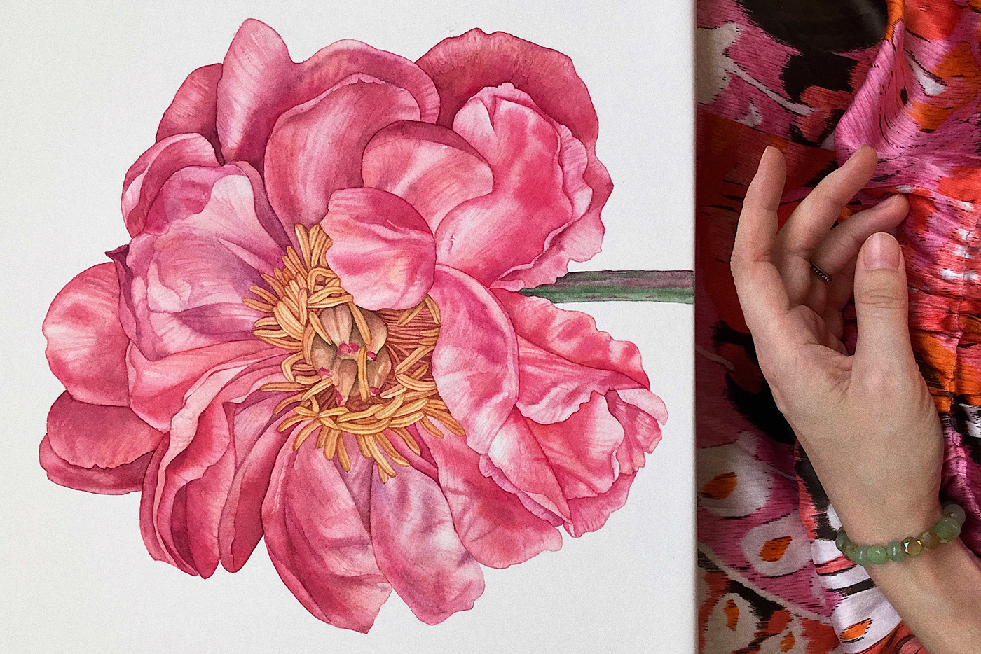 bloom blossom botanical floral flower peony watercolor watercolour
