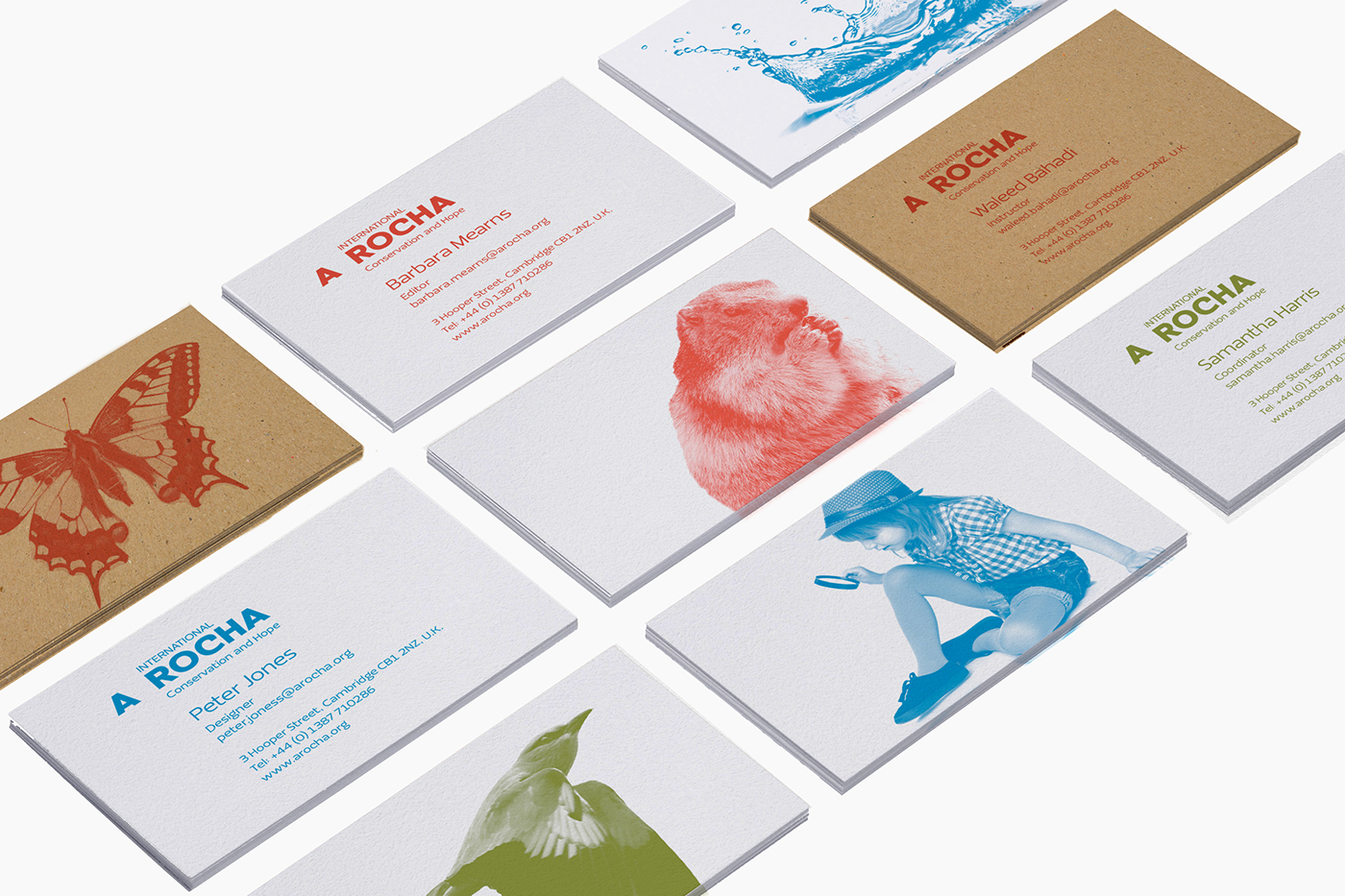 a rocha design conservation brand slash