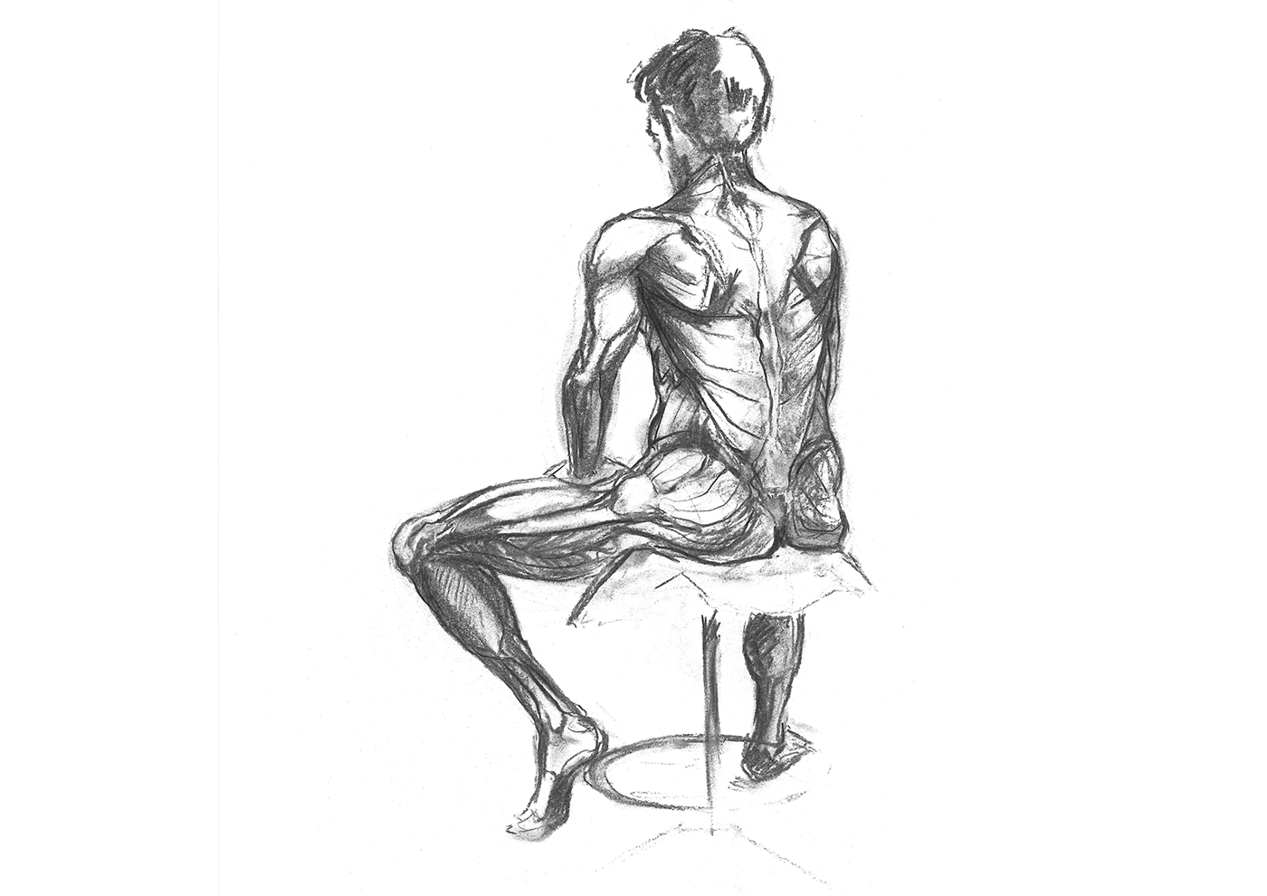 anatomy muscles man charcoal traditonal figure Drawing  anatomie muscle