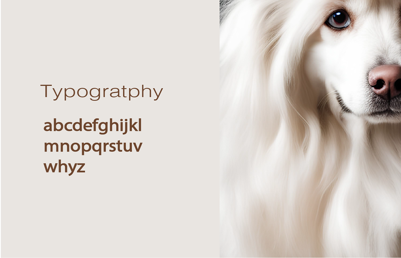 logo brand identity Logo Design branding  Logotype Service design naming visual identity grooming dog