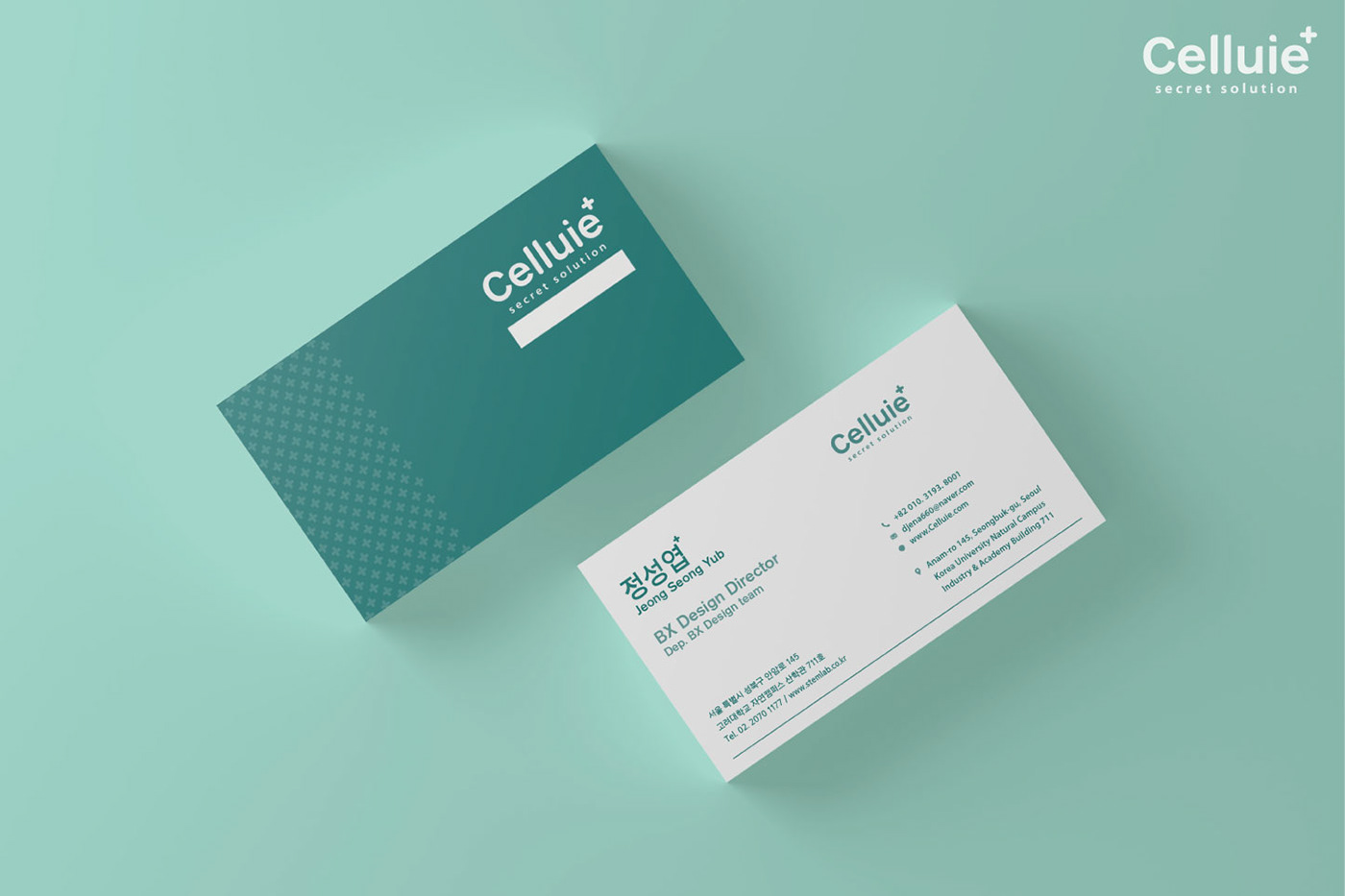 Cosmetic branding  package cosmeceutical Celluie brand Layout design manual