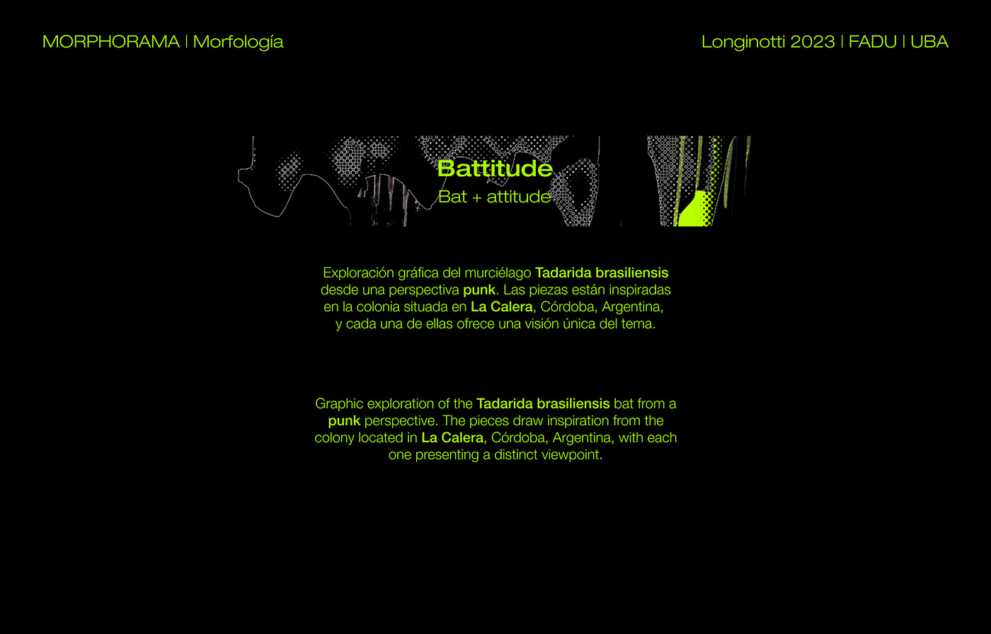 diseño gráfico longinotti fadu uba collage Graphic Designer murcielago bat morfologia morfologia longinotti