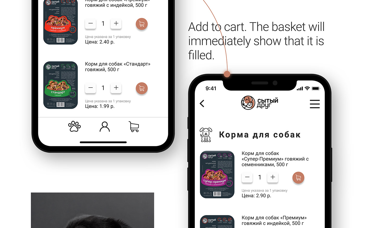 animals dog Cat shop ux UI app design Web Design  Figma