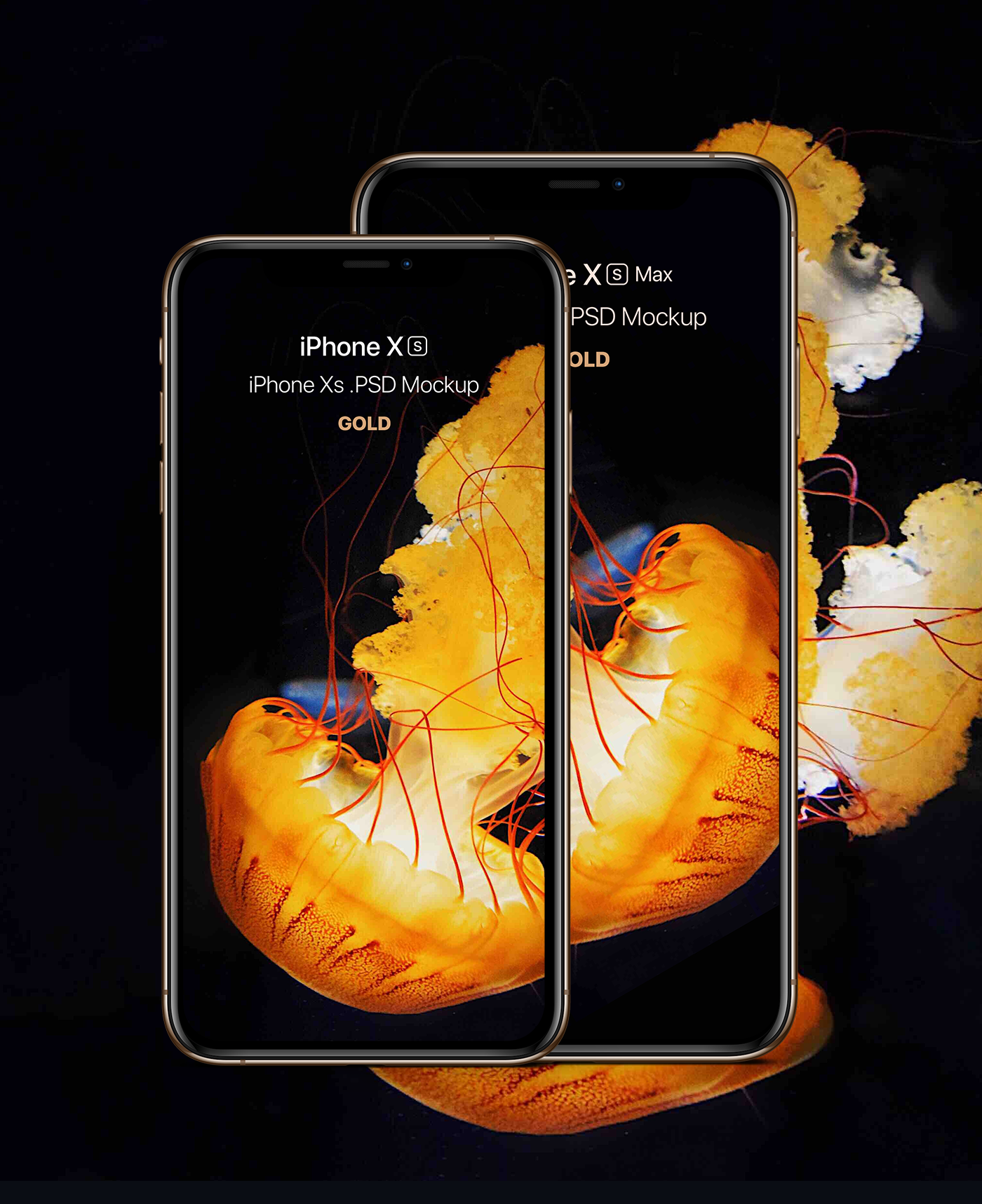 Download Free Download iPhone Xs & Xs Max PSD Mockup on Behance
