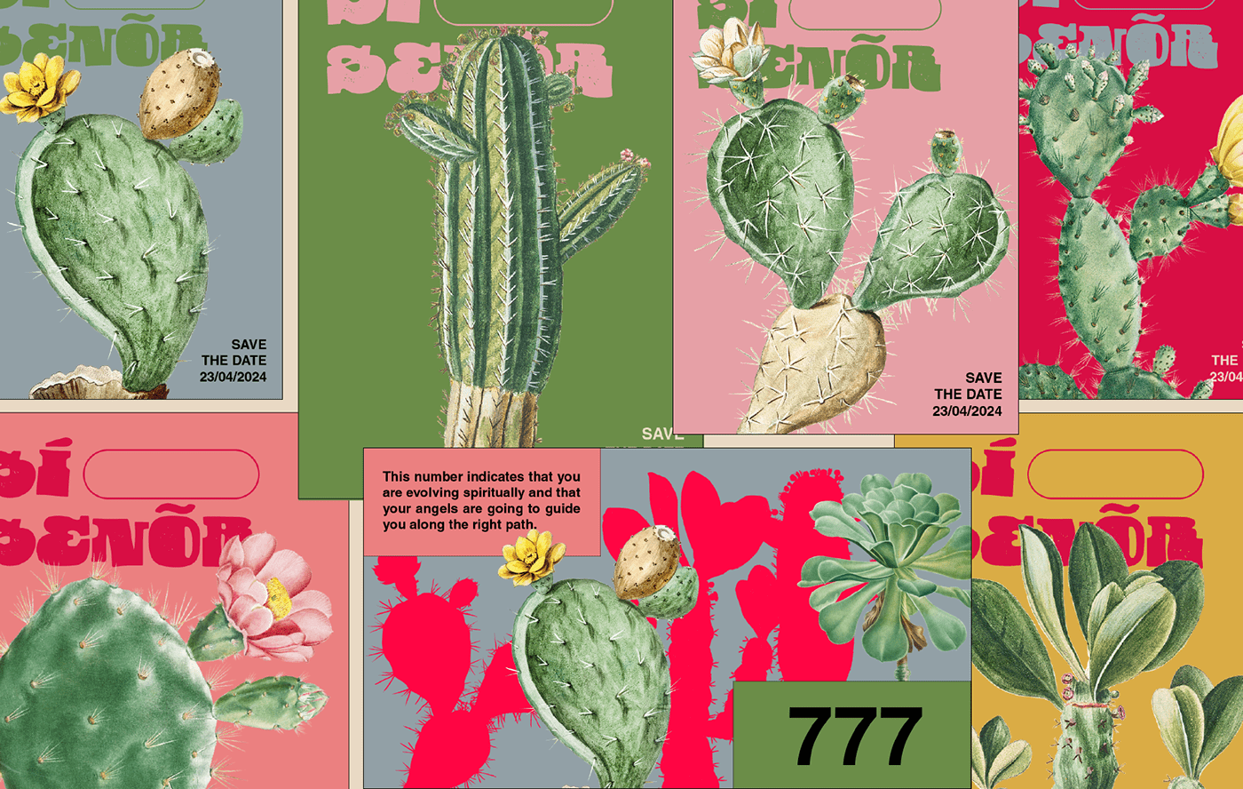 Brand Design brand identity cactus design gráfico Food  identidade visual logo Mexican vector