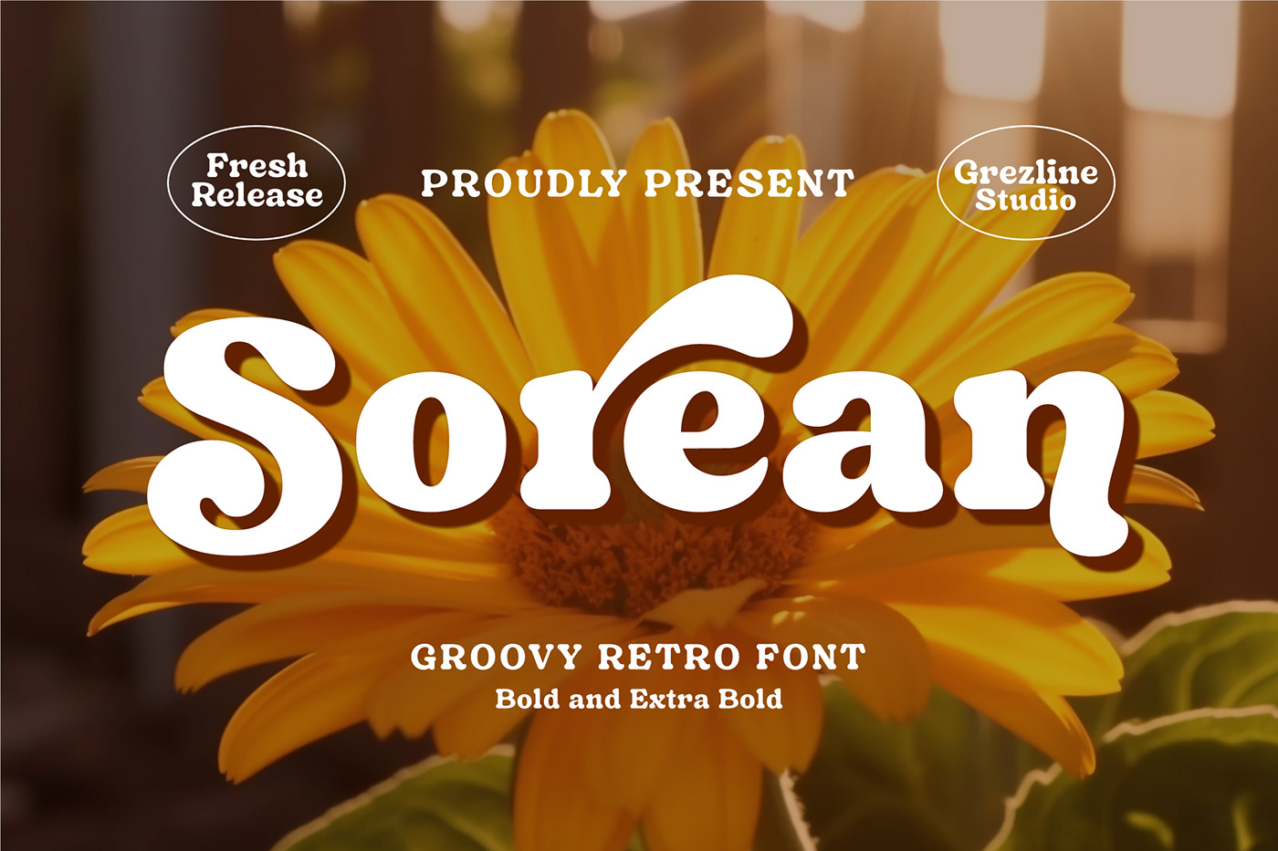free freebies Free font free fonts Retro groovy Display Headline logo branding 