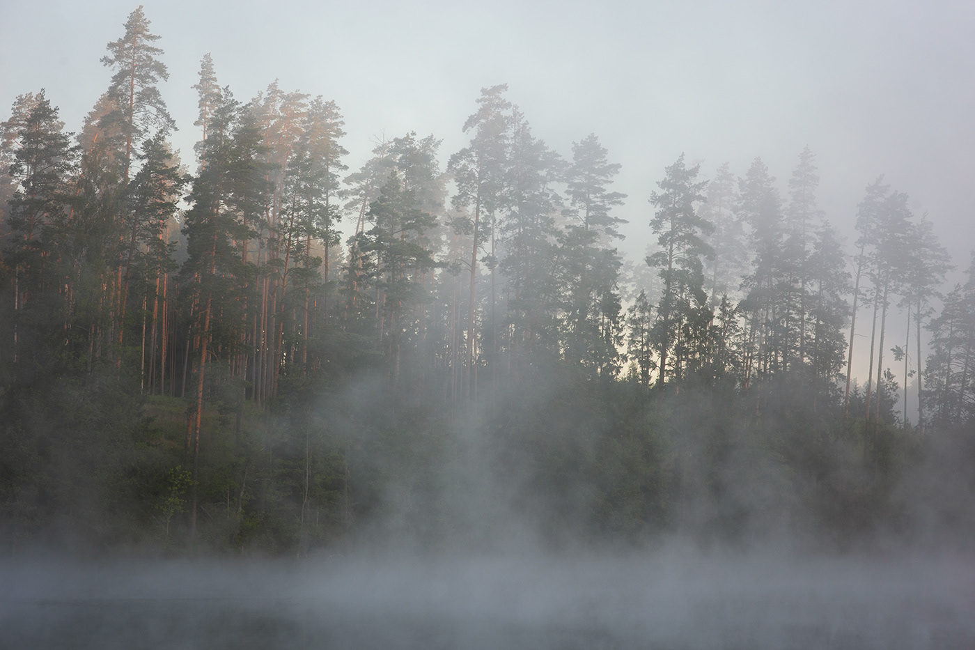 fog Landscape lietuva lithuania Mindaugas Buivydas mist Nature