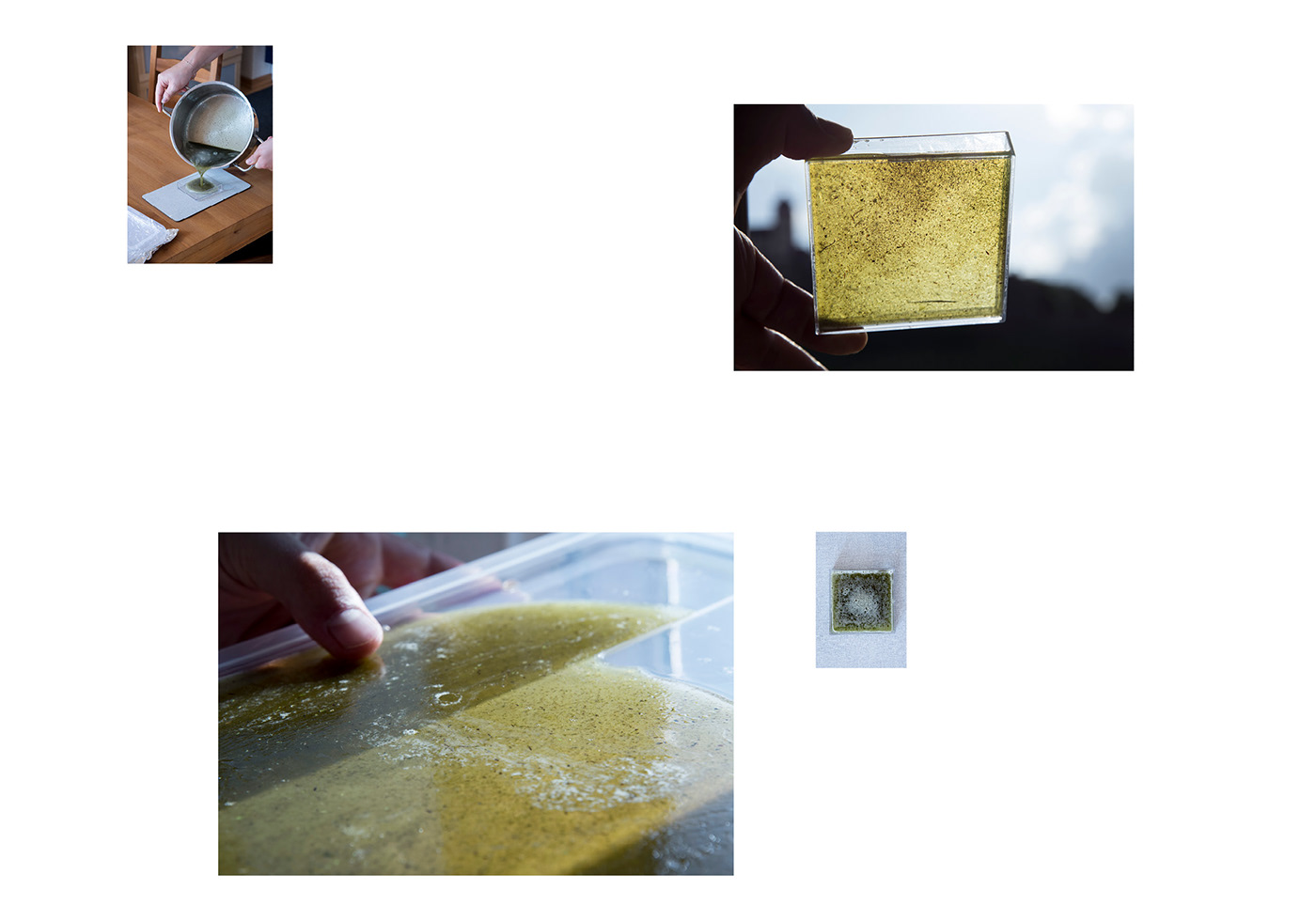 BioFabrication algae Fungi dyeing textile cellulose kombucha materials biomaterial