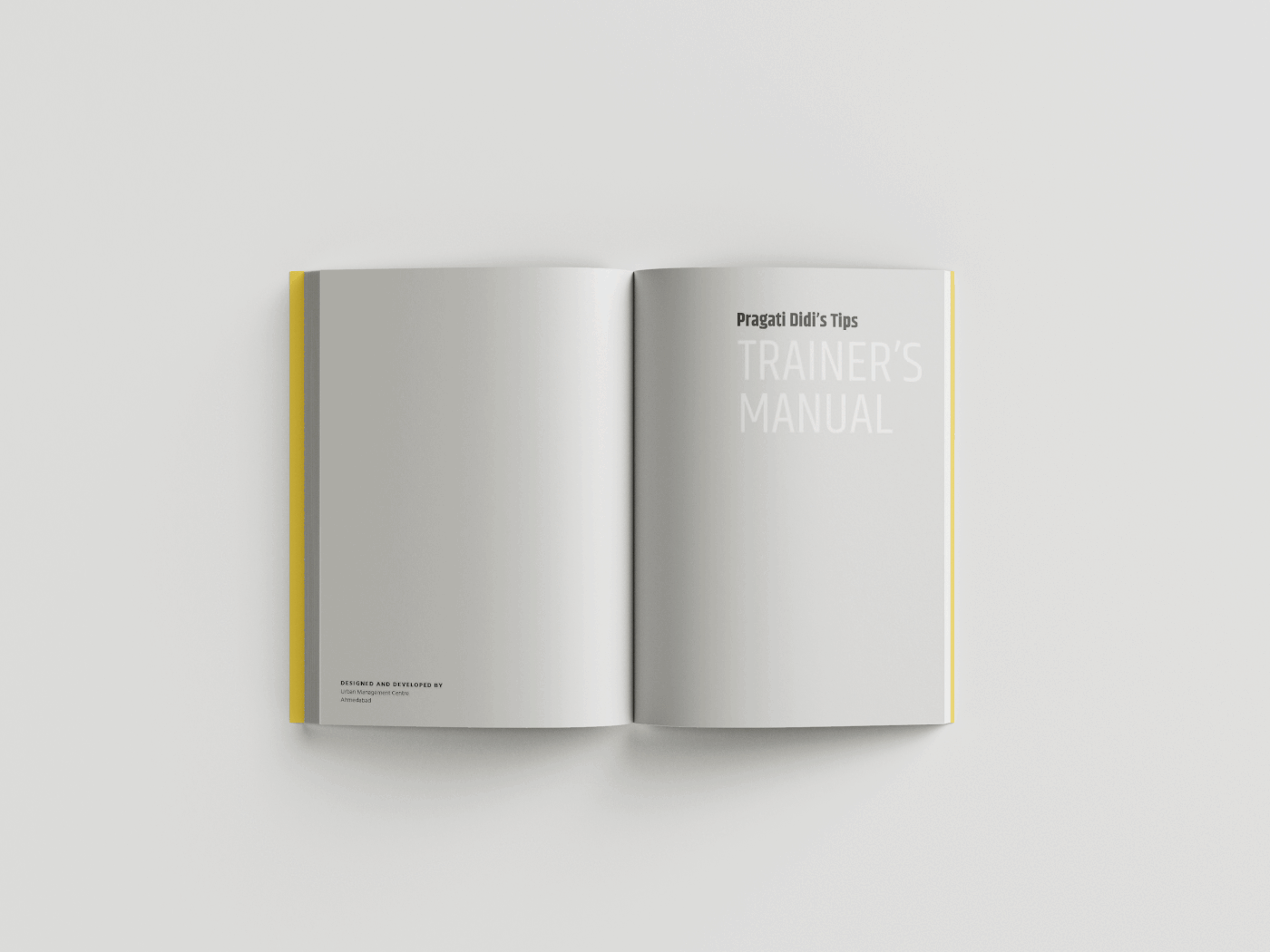 publication design book design editorial design  information architecture  User manual Design Financial Literacy