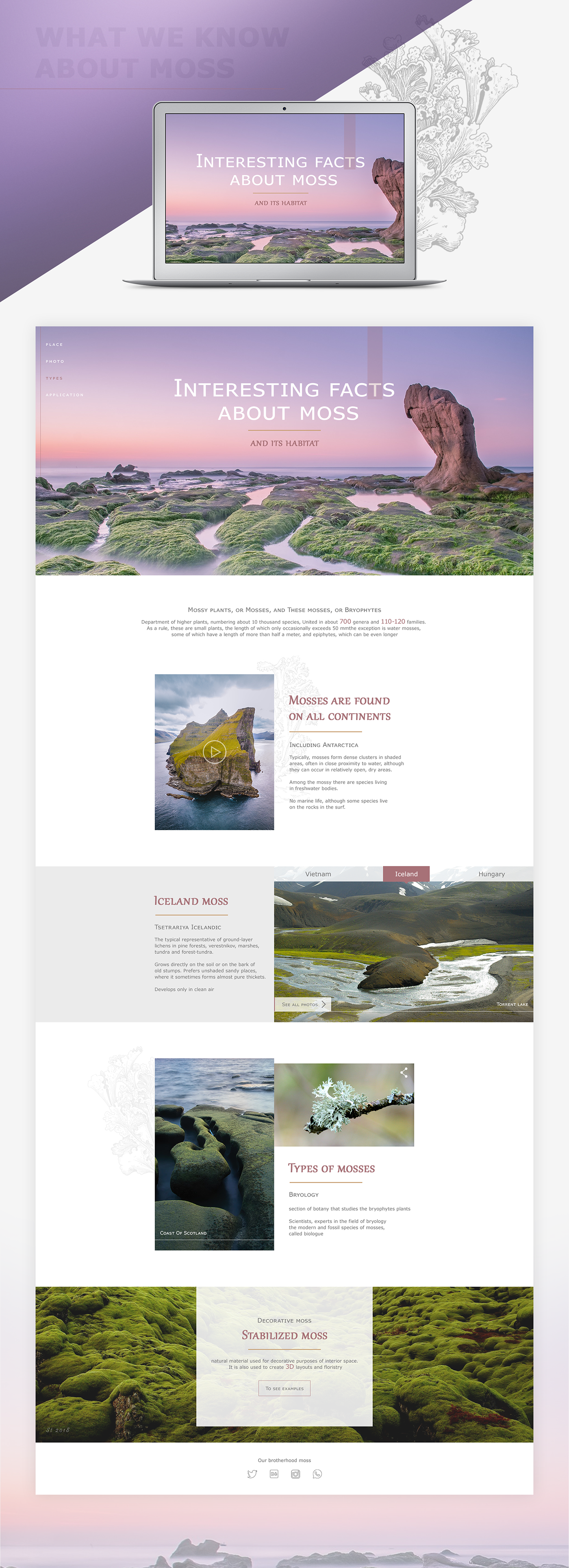 Nature iceland Travel landing page science photo Web Design  Interface ux UI