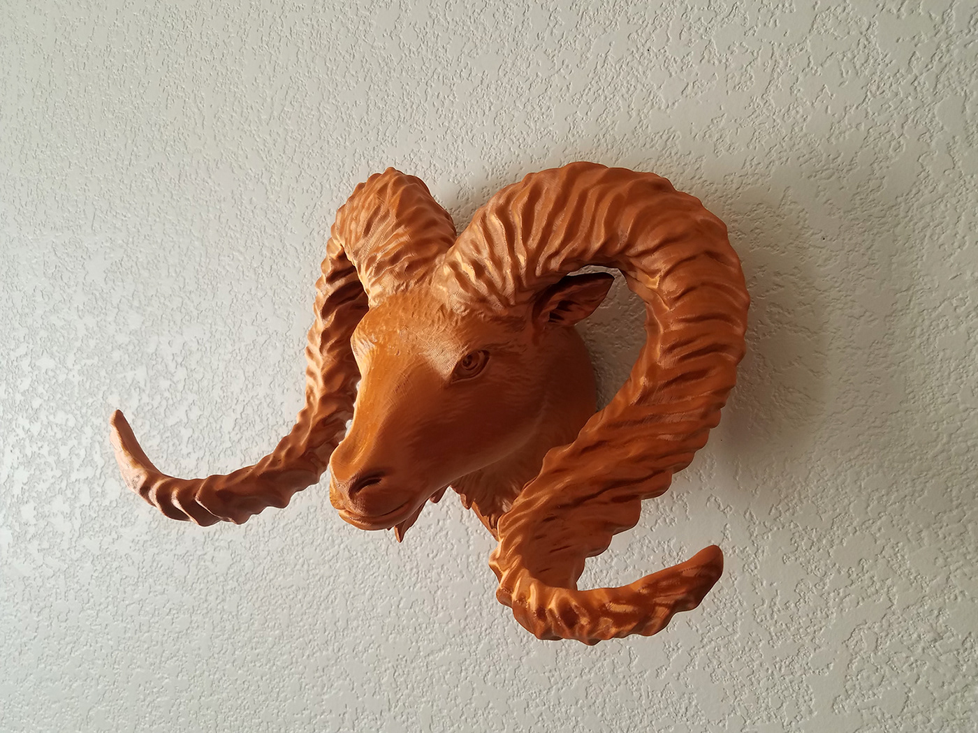 3D Printed Wall Sculpture Bighorn Ram Head.