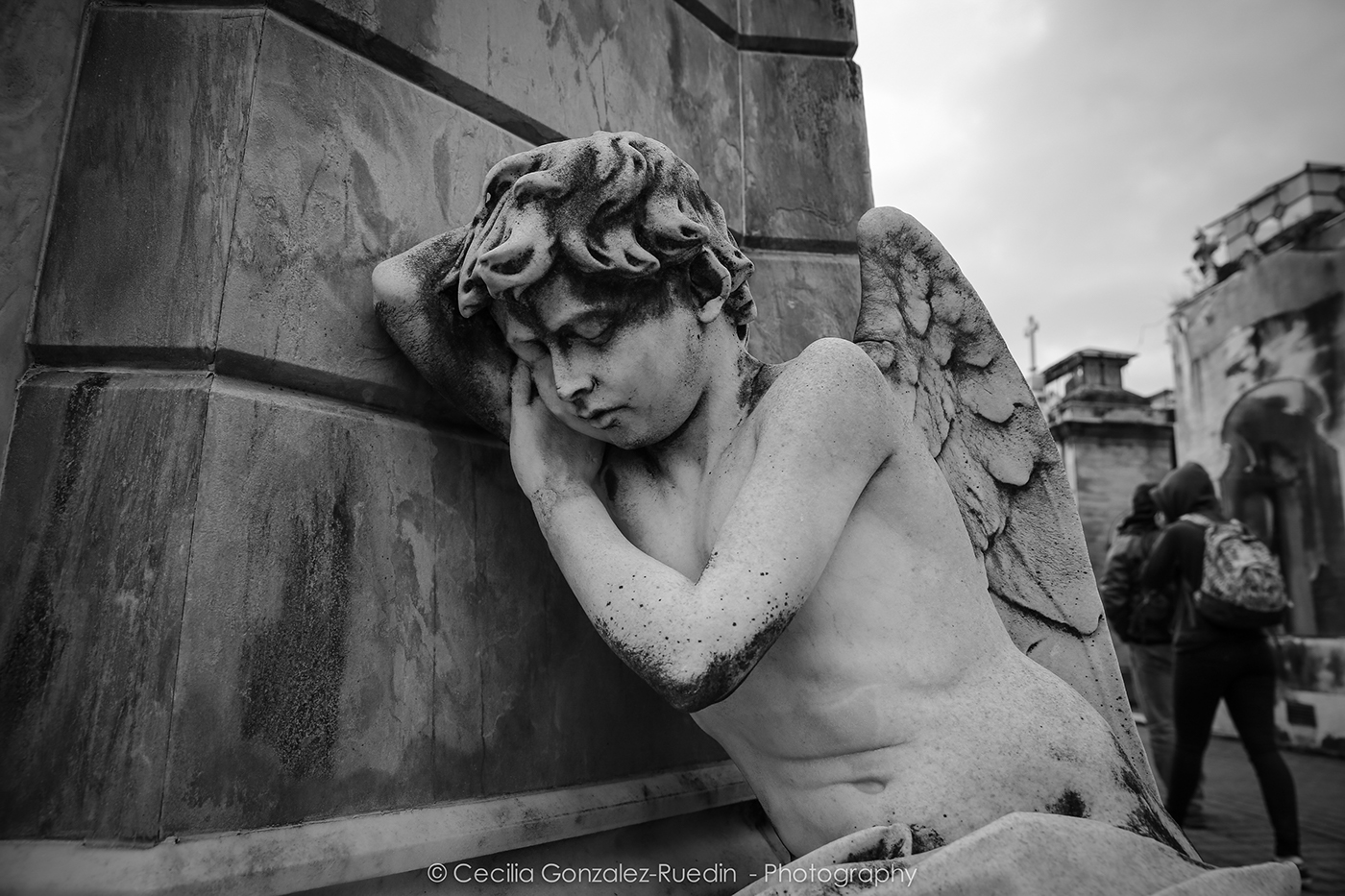 recoleta cemetery buenos aires argentina Photography  black and white