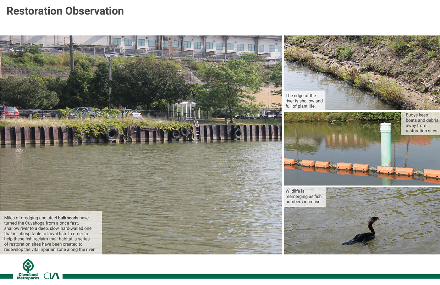 restoration buffers Cuyahoga River cleveland metroparks riparian zones buoy design