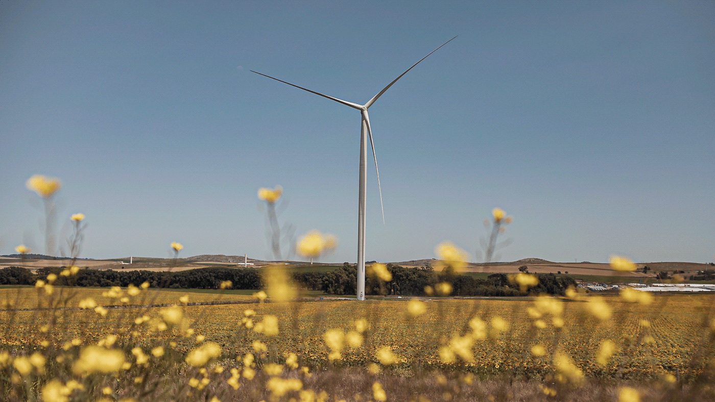 Windmill photo from the YPF Luz Sustainability Report