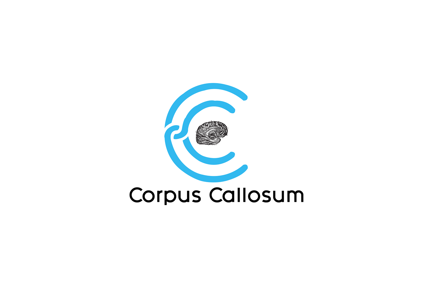 gary fernon Corpus Callosum community creative