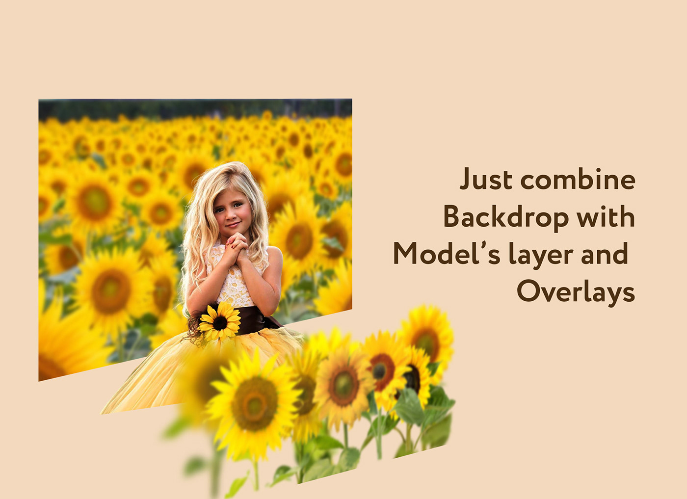 Digital Backdrop digital overlays Flower Overlays Png overlays photoshop photo overlays photography overlays photoshop overlays Sunflower Overlay Sunflower Overlays texture overlays