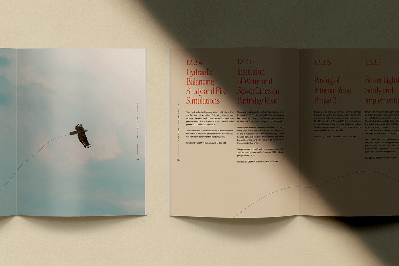 annual report art direction  edition editorial identity Layout magazine Native print typography  