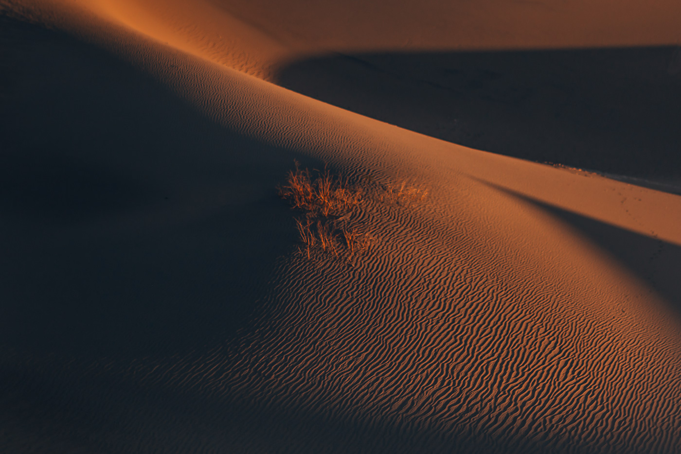 California Death Valley desert dunes joshua tree Landscape Photography  surreal textures utah