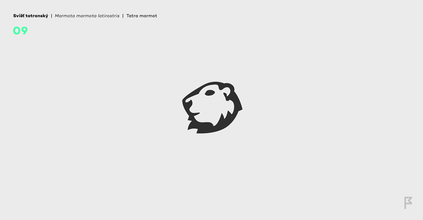 animal Collection design heads Icon logo Pack set Slovak slovakia