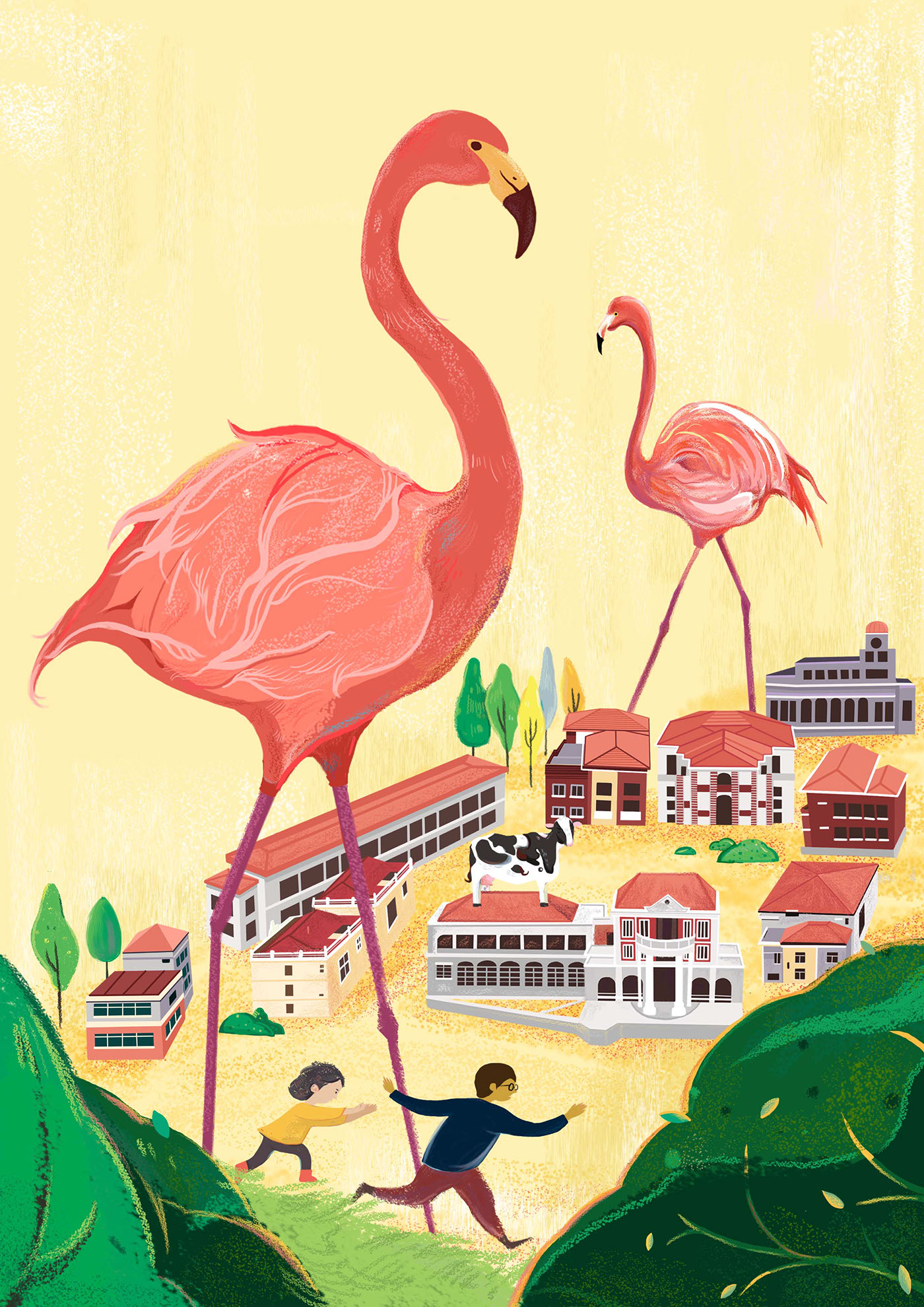 火烈鸟 flamingos illustration animal
