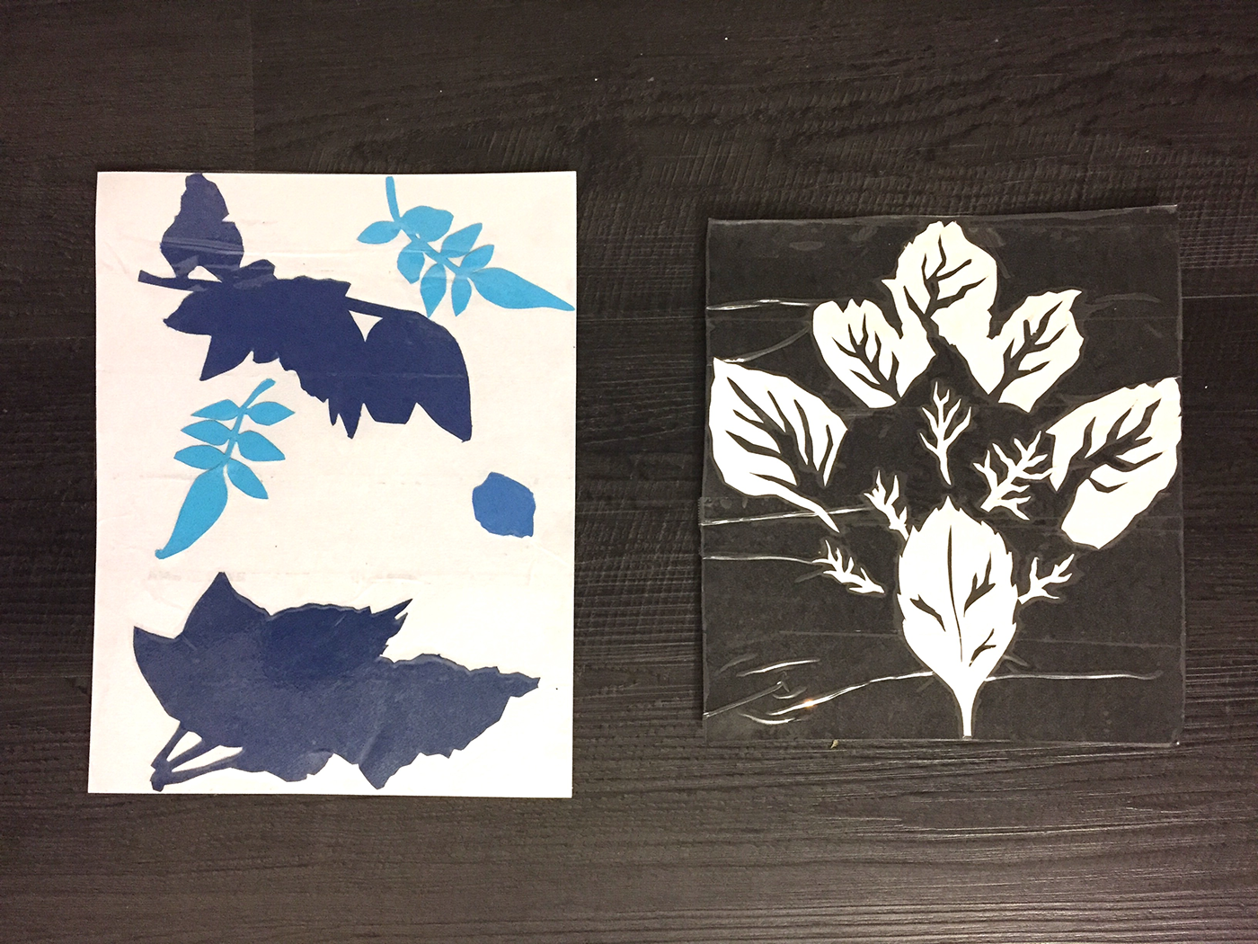 leaf leaves color black and white Color Paper black and whitepaper