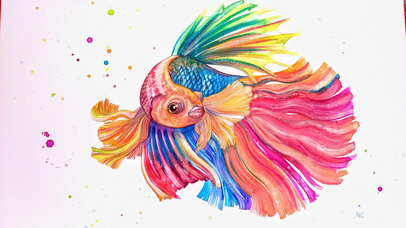Chine pesci dipinto disegno colori illustrazione