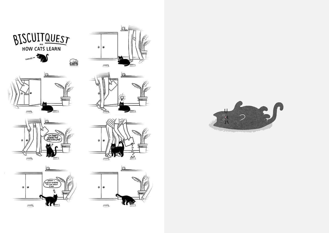 cats charity animation  ILLUSTRATION  kitchen