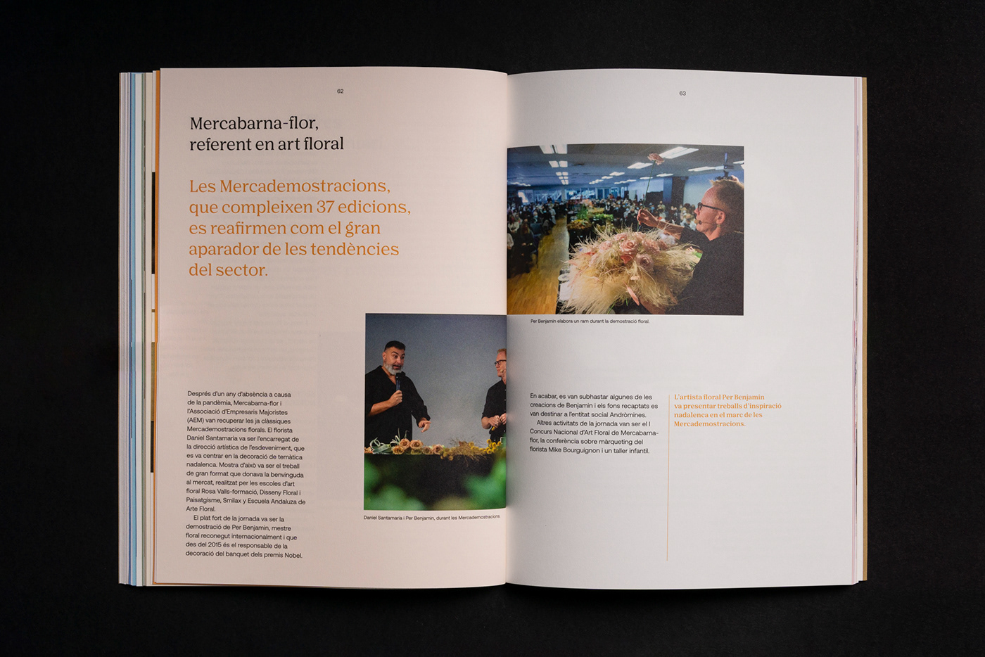 book design Mercabarna report Sustainability book editorial design  icon design  icons InDesign print