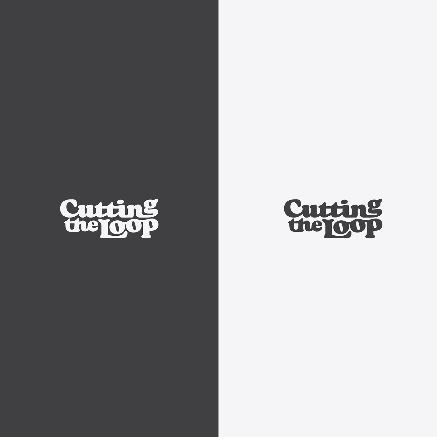 branding  colorblock company design guidelines logo Startup