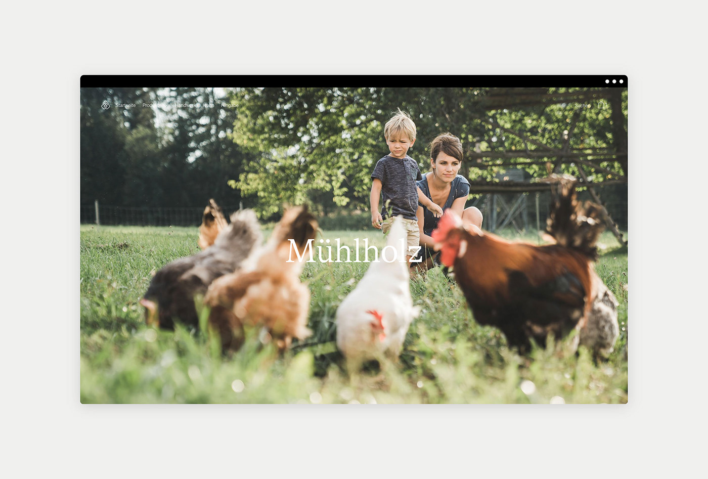 chicken chicken feed eggs embossed farm Onlineshop webshop Workshop