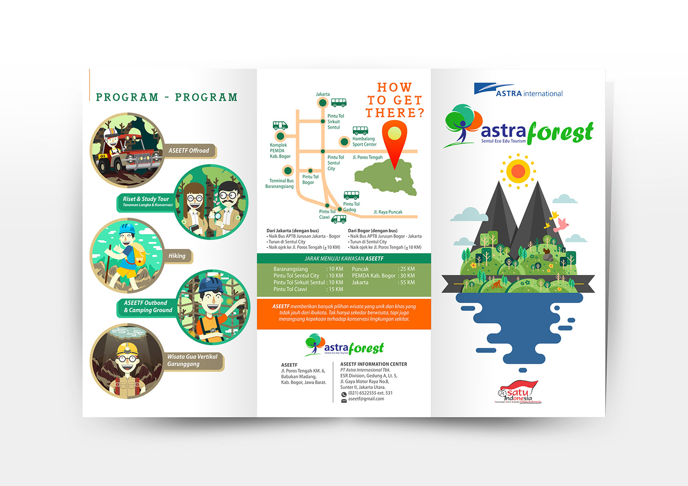 animal brand ecosystem forest infographic jungle map mountain vector