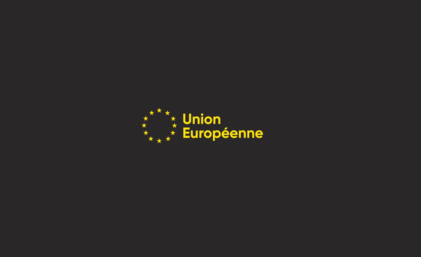 European union brand design identity UI ux print Webdesign Sens