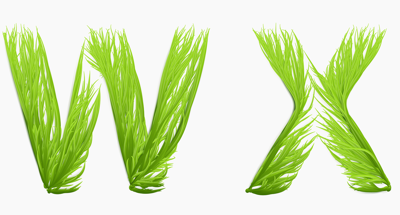 grass letter vector houdini Illustrator growth type ILLUSTRATION  concept typography  