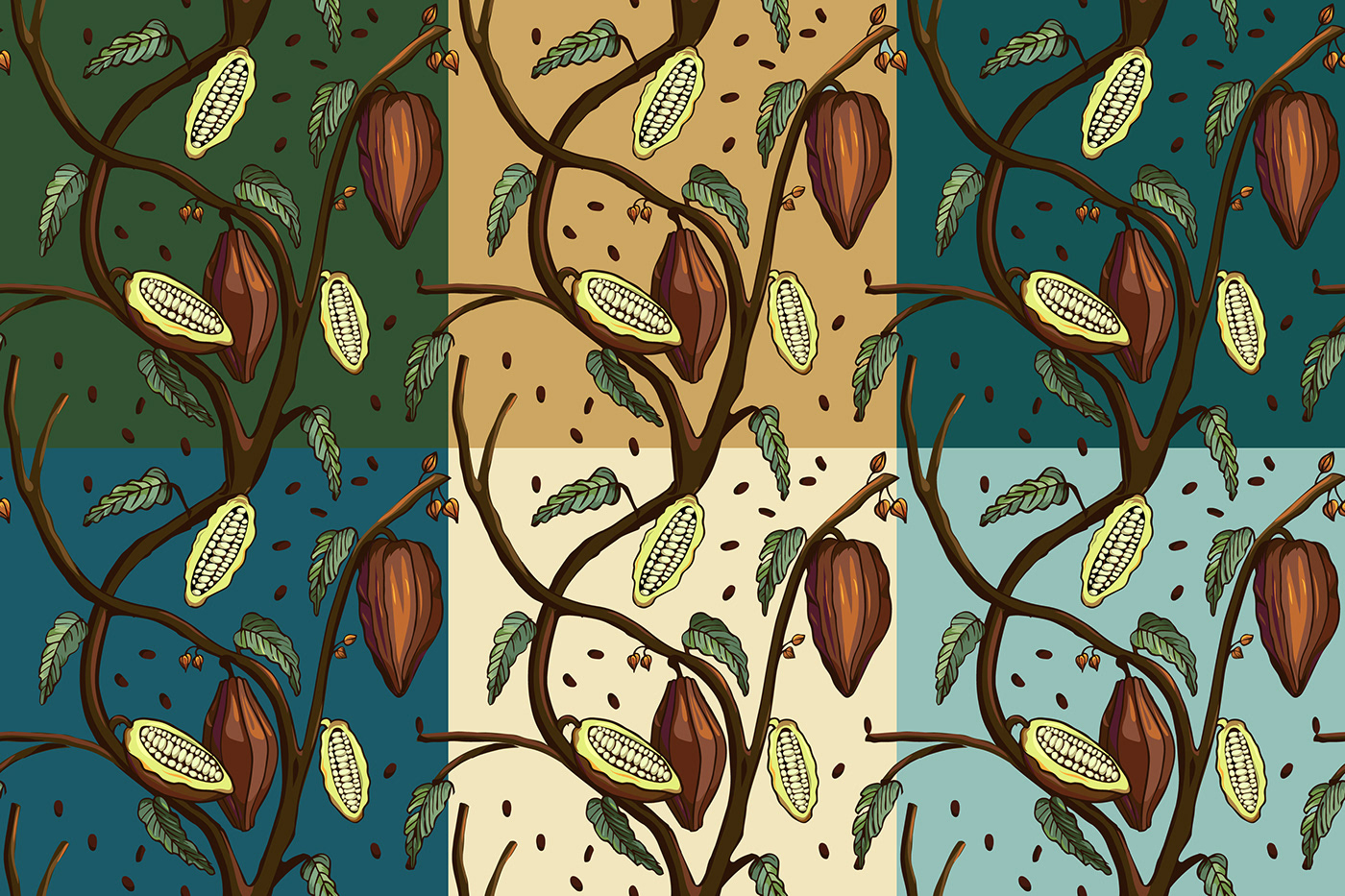 pattern Cocoa cacao art vector color Fruit print design chocolate