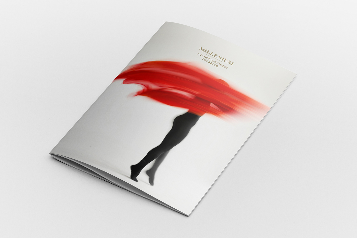 brochure Catalogue  indesign template  layout design print Style Lookbook Fashion 