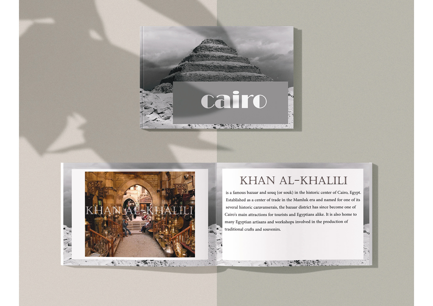 Advertising  brand identity cairo giveaway ILLUSTRATION  Illustrator Logo Design Packaging poster