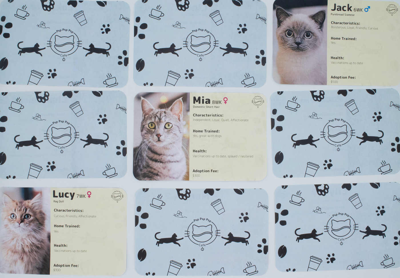 brand identity Branding design cat cafe  cats Graphic Designer illustrations Logo Design meow mockups rebranding project