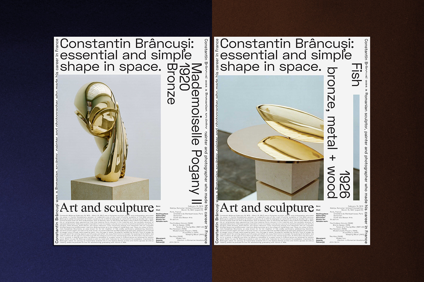 constantin brancusi book design Grafikdesign Bookdesign editorial