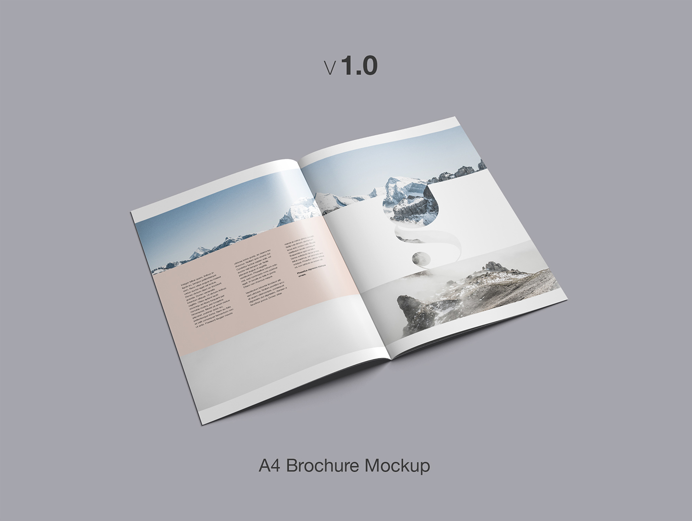 A4 brochure mockup brochure Mockup mock-up free freebie download design book Booklet magazine template