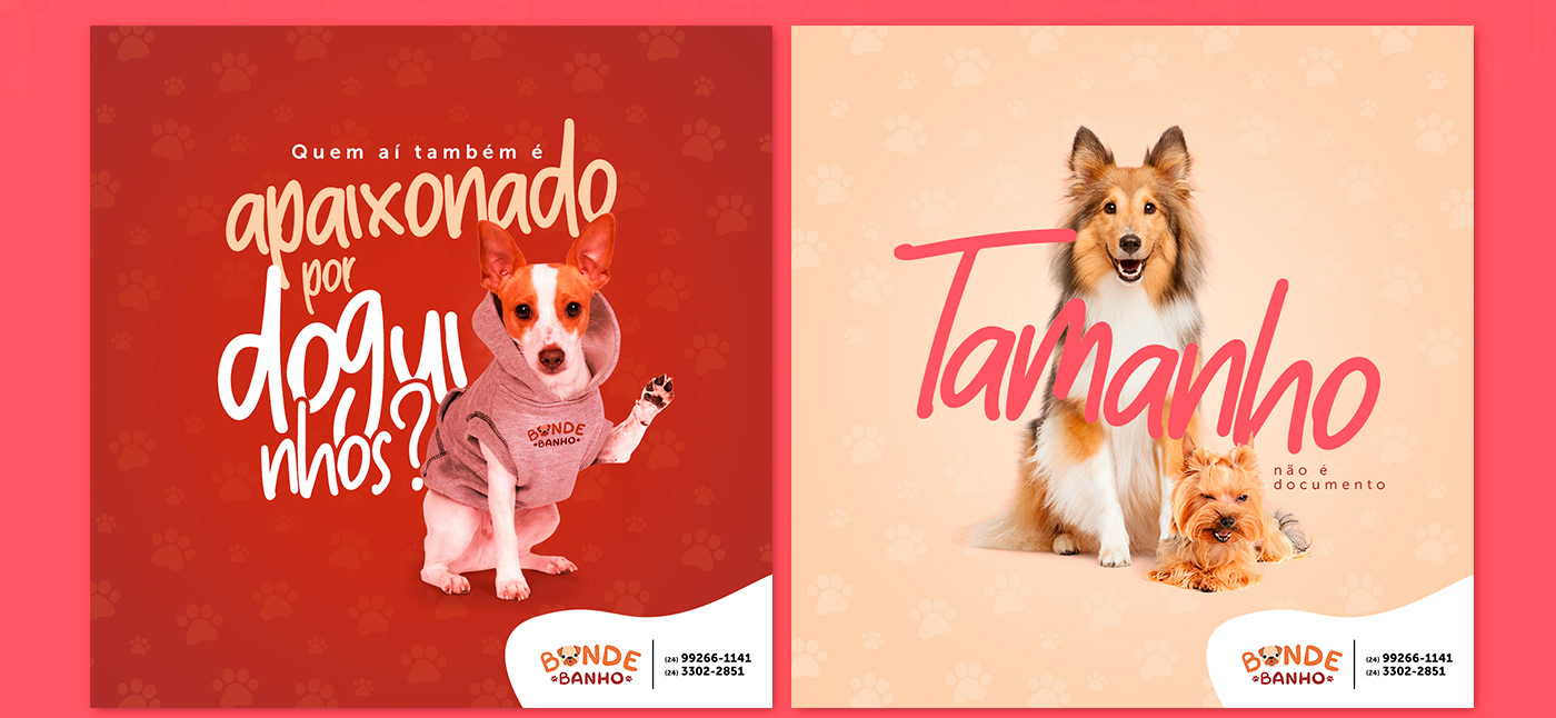 animals Direção de arte dog instagram media Pet pet shop social media veterinaria veterinário