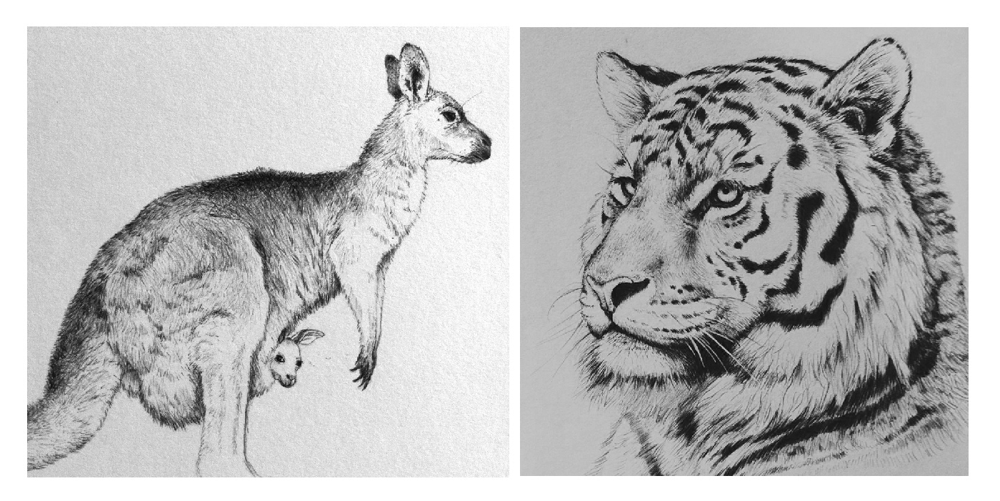 ILLUSTRATION  animals black and white watercolor