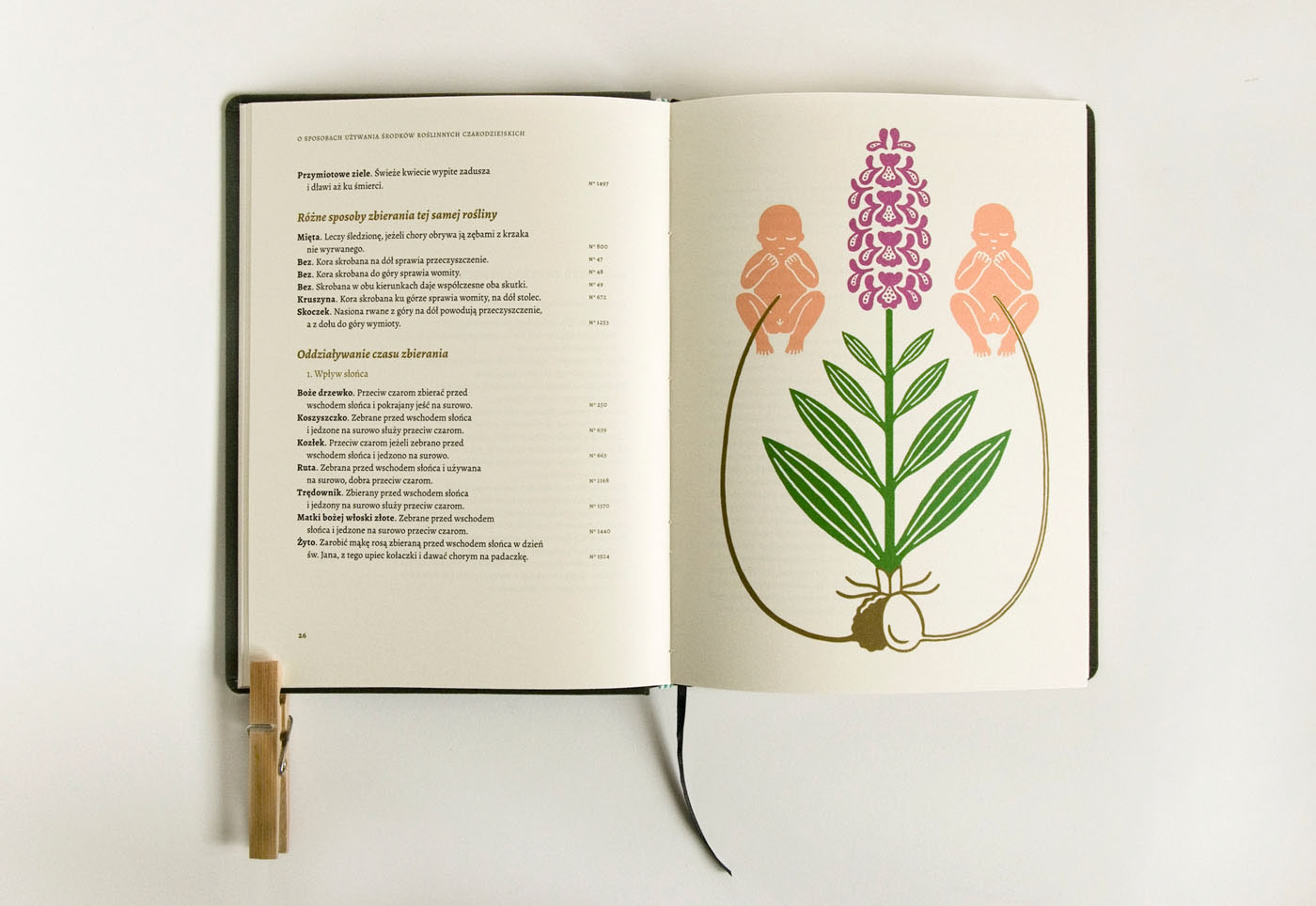 Folklore plants herbs human book simple Fun folk botany Botanicals